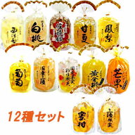 【送料無料1ケース】フルーツゼリー 12種セット サンヨー堂★一部、北海道、沖縄のみ別途送料が必要とな…