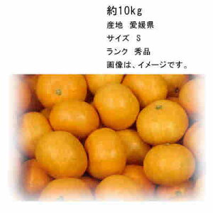 �y���������z���̊ۂ݂���@���Q���@��10kg�@�T�C�YS�@�G�i���ꕔ�A�k�C���A����̂ݕʓr�������K�v�ƂȂ�ꍇ������܂�