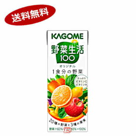 【送料無料2ケース】野菜生活100　オリジナル　カゴメ　200ml　パック　24本×2★一部、北海道、沖縄のみ別途送料が必要となる場合があります