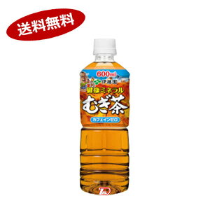 y2P[XzN~l ɓ 600ml ybg 24{×2