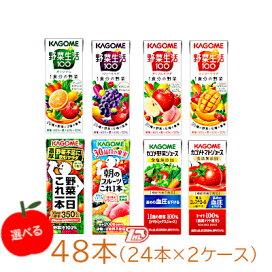 1ケース ケイジャンオイルソース 業務用 創味食品 700g パウチ 12袋入 ショップダイヘイ店