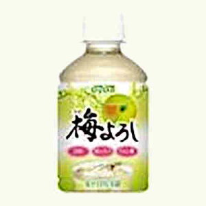 �y1�P�[�X�z�~��낵 �_�C�h�[ 280ml �y�b�g 24�{��