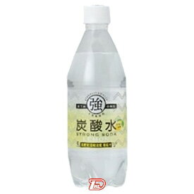 【2ケース】強炭酸水レモン　友桝飲料　500mlペット　24本×2