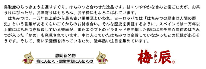 楽天市場 送料無料 徳用 ぶるうべりいらっきょう600g 300g 2袋 梅辰株式会社 静岡県 ブルーベリー漬けらっきょう ブルーベリーらっきょう うめしん らっきょう お 茶しま専科 健康通販倶楽部