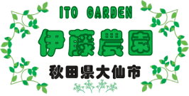 【送料無料】秋田県産極太干しぜんまい500g山菜の王様ともいわれる最高級の干しぜんまいです【秋田県産】【乾燥ぜんまい】