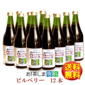 ミホミ　瞳のサポート　ビルベリー100（720ml×12本）欧州産ビルベリー使用　ミホミフーズ(株)(静岡市)