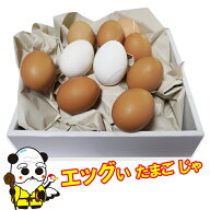 卵の殻　全形　ぶら下げ用 糸付き　10個セット　縁起物　お絵かき 復活祭 図工 工作 クラフト プレゼント…