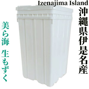 @ꌧ@ɐY@n16kg  e ɐƋg ɐ ɐ yY/Mtg VLVL tRC_ Yn RHi z 