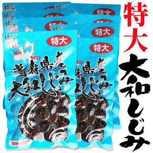 a  180g×16 23mmȏ㌵I XY̐VNȑa݂E^pbNɉM܂B݂`ɃpbƕƔݏ`̂łBVW~ 