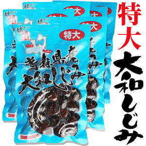 a  180g×8 23mmȏ㌵I XY̐VNȑa݂E^pbNɉM܂B݂`ɃpbƕƔݏ`̂łBVW~ X