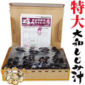 青森県産　特大　大和しじみ汁 30食セット　徳用　しじみちゃん本舗株式会社　 常温保存 　保存食　生みそ/生味噌/しじみ味噌汁 インスタント 即席 味噌汁　シジミ 蜆 インスタント味噌汁 常温保存 個包装 殻付きしじみ 味噌 みそ 簡単調理 常温