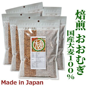 �n��1903�N�@���������ނ�400g�@ �N�x�������@�H�ׂ� �����ނ��@�|���|���T�N�T�N�H���@�唞�p�t�@���C�X�A�C�����h�@�򕌌��@ �����唞�@ �`���b�N�� ��e�ʁ@�V���A���@Granola �m���t���C 