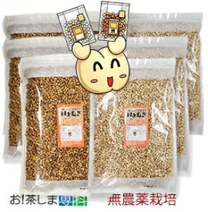 50N̐M@~bNX@ ͂Ƃނ@400g×6܁@a3+3܁@匴X Od ͂Ƃނ `bN e @VA/Om[/Granola XibN ^Cv Y mtC 