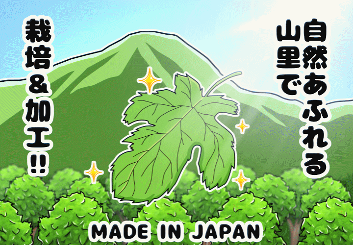 陽菜さま専用 EASTBEE ナポリ風 ピッツア クラスト ラージサイズ 5枚入り