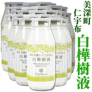 [ mFz@t180mL×5{Ȃ琶܂ꂽtThe St MonicaԕłY݂̕ɂBmFz̗ŔAACḱujEEvvi؂́A܂͐XсjɗR܂B