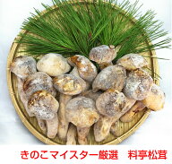 料亭松茸サイズおまかせ250g 割れ欠け折れ訳あり品 有名料理店監修レシピ付き！【楽天ランキング受賞】【…