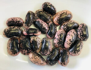 国産高原花豆プレミアムA小粒品200g(乾燥品) 無塩 送料無料 信州長野県名産 はなまめ 花まめ