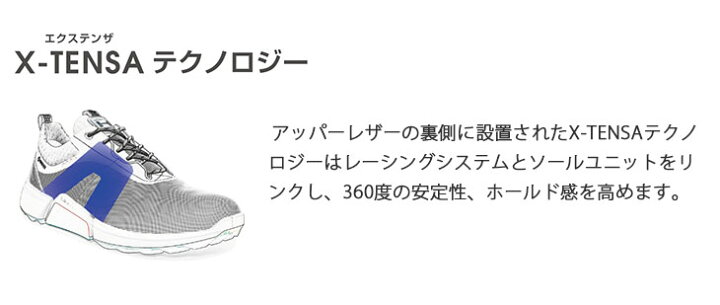 ネット限定】 大特価 エコー ゴルフシューズ ソフトスパイク バイオム ジースリー エクステンザ ボア ホワイト ECCO GOLF BIOM G3 X-TENSA BOA WHITE 131834 01007 academydosaber.com ネット限定】 大特価 エコー ゴルフシューズ ソフトスパイク バイオム ジースリー エクステンザ ボア ホワイト ECCO GOLF BIOM G3 X-TENSA BOA WHITE 131834 01007 academydosaber.com