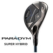 楽天市場】PARADYM SUPER HYBRIDの通販