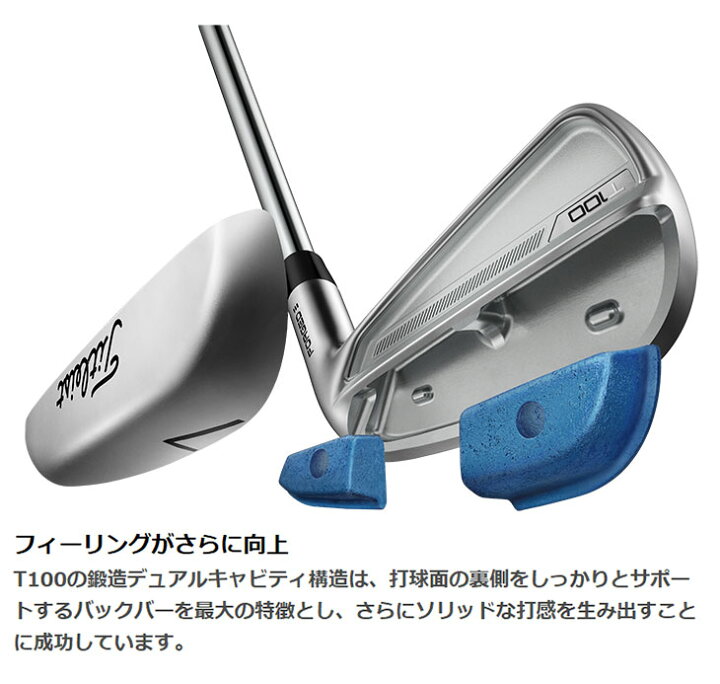 楽天市場】タイトリスト T100アイアンダイナミックゴールド シャフト 