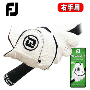 yteB[EEpztbgWC EFU[\tStO[u SV󃂃fFOOTJOY WeatherSof FGWF3LHlR|XΉ