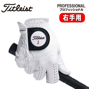 yteB[EEpz^CgXgvtFbVi VRrvStO[u SV󃂃fTITLEIST PROFESSIONAL TG73LH lR|XΉ