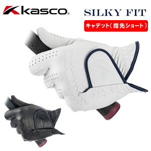 ywV[gzLXR VL[tBbgStO[u LfbgGF-23302 sAG`IsAV[virvjKasco SILKY FIT lR|XΉ