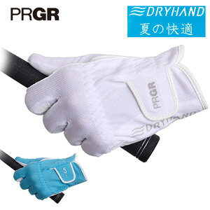 �v���M�A �h���C�n���h �S���t�O���[�uPRGR DRYHAND DH-253 �l�R�|�X�Ή�