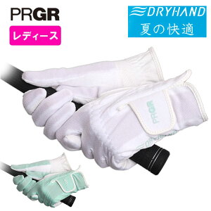 yfB[XEpzvMAhCnh StO[uPRGR DRYHAND DH-253LW lR|XΉ