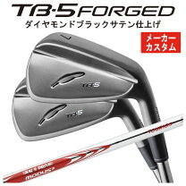 楽天市場】フォーティーン tb-5 dg105（シャフト素材スチール）の通販