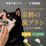 【マラソン期間中ポイント10倍】 犬用 奇跡の歯ブラシ 2本セット【正規品】小型犬用 中・大型犬用 やわらか
