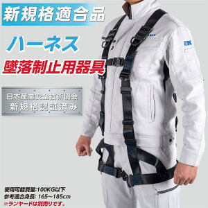 ė~p n[lXPi VKi Ki tn[lX^ Ɛ S  dCH hH c[NC~O Sیpi n[lX ؕY ؏