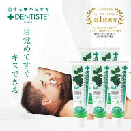 5本セット 公式 デンティス チューブタイプ 100g 口臭 歯磨き粉 おすすめ 人気 口臭ケア 歯みがき粉 はみ…