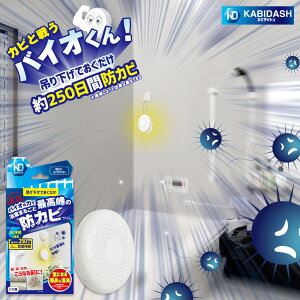 Jr_bV hJrEoCIoX^[ JrƐ키oCI ő250hJrʂI  ݂艺Ă hJr΍ ȒP L C oXp  |pi | 