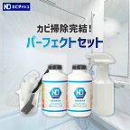 カビダッシュ パーフェクトセット 特濃ストロングジェル 500ml2本+空スプレーボトル1本+手袋4枚(2組) カビ ジェル 除菌剤 抗菌 お風呂 浴室 排水溝 壁 タイル目地 シンク 結露 強力 除去 ゴムパッキン リベルタ