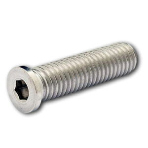 �y500�{����z�X�e�����X�ᓪ�����L���b�v�{���g M5×8 �z�[���[�L���b�v�{���g�@NS���[�w�b�h