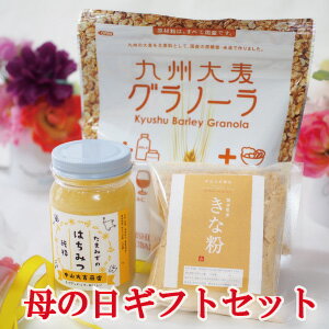 送料無料母の日ギフトプレゼント国産はちみつと大麦グラノーラときな粉のセット純粋蜂蜜非加熱贈り物母の日ギフト