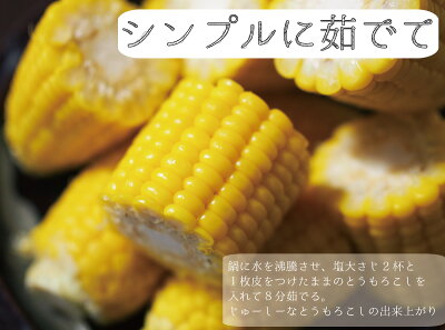 送料無料とうもろこしゴールドラッシュ熊本県産10本〜13本約4.0kgスイートコーン国産産地直送野菜夏野菜トウモロコシ茹で方レンジレシピ離乳食通販品種お取り寄せギフト
