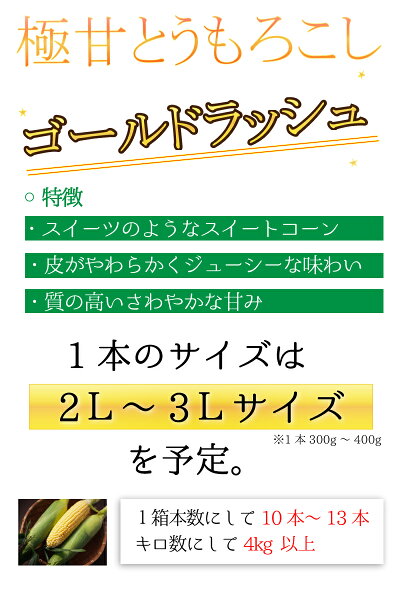 送料無料とうもろこしゴールドラッシュ熊本県産10本〜13本約4.0kgスイートコーン国産産地直送野菜夏野菜トウモロコシ茹で方レンジレシピ離乳食通販品種お取り寄せギフト