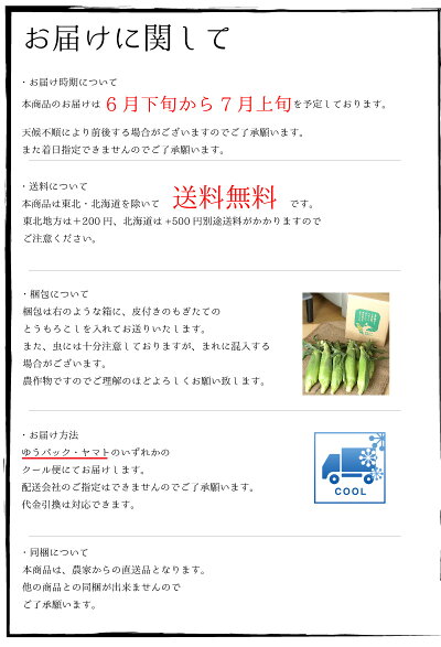 送料無料とうもろこしゴールドラッシュ熊本県産10本〜13本約4.0kgスイートコーン国産産地直送野菜夏野菜トウモロコシ茹で方レンジレシピ離乳食通販品種お取り寄せギフト