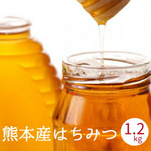 蜂蜜国産非加熱送料無料600gx230年産九州産天然濃熟はちみつギフト母の日父の日敬老の日内祝い出産祝い結婚祝いお中元御中元お歳暮御歳暮プレゼント入学祝いお返し