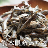 煮干し いりこ 国産 無添加 熊本県産 300g ～ 6kg 煮干し 食べるいりこ 食べる煮干し 出汁 出汁用いりこ …