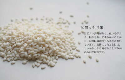 熊本県産ヒヨク餅米3kg平成24年度産お餅/赤飯/おこわ