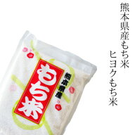 もち米 1kg ～ 15kg 九州 熊本県産 ヒヨクもち米 令和6年産 ひよくもち 少量 餅つき おこわや赤飯、桜餅…