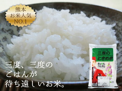 三度のときめき10kgひのひかり熊本のお米送料無料新米29年九州熊本県産ヒノヒカリ白米精米通販お歳暮御歳暮内祝い出産祝い結婚祝いお中元御中元母の日父の日敬老の日ギフトプレゼント入学祝いお返し