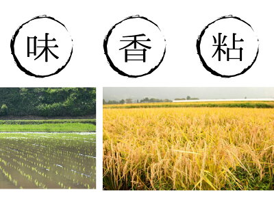 三度のときめき10kgひのひかり熊本のお米送料無料新米29年九州熊本県産ヒノヒカリ白米精米通販お歳暮御歳暮内祝い出産祝い結婚祝いお中元御中元母の日父の日敬老の日ギフトプレゼント入学祝いお返し