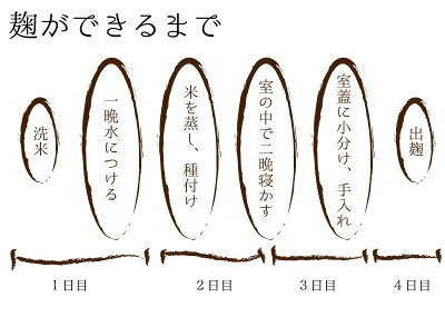 送料無料米麹生10kg九州熊本県産米こうじ手作り甘酒味噌塩麹醤油麹作り新米を使用酵素ドリンクこうじの力ヨーグルティア酵素甘酒用発酵ライフ塩こうじ