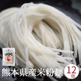 米粉 うどん 米粉 麺 4個 ～ 36個入り ライスヌードル グルテンフリー 熊本県産米粉 熊本産ヒノヒカリ使用 国産米粉 九州 熊本産 お米のうどん 少量 お試し パスタ そうめん うどん ラーメン フォー 麺 米屋の米粉 米の米粉 離乳食 送料無料 4個 6個 12個 24個 36個