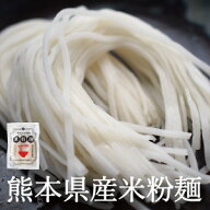 米粉 うどん 米粉 麺 6個 ～ 36個入り ライスヌードル グルテンフリー 熊本県産米粉 熊本産ヒノヒカリ使…