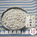押し麦 国産 送料無料 10kg 佐賀県産 押麦 無添加 麦ご飯 国産 大麦 送料無料 雑穀 国産雑穀 あす楽 押し麦クッキー 押し麦グラノーラ 押し麦サラダ ... ランキングお取り寄せ